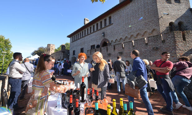 Регија богатих чокота даје врхунска вина